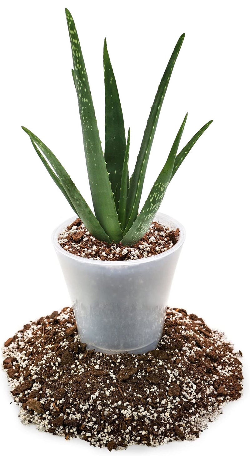 GARDENERA Premium Aloe Vera Potting Soil Mix - (2 Quart Bag) - Image 2